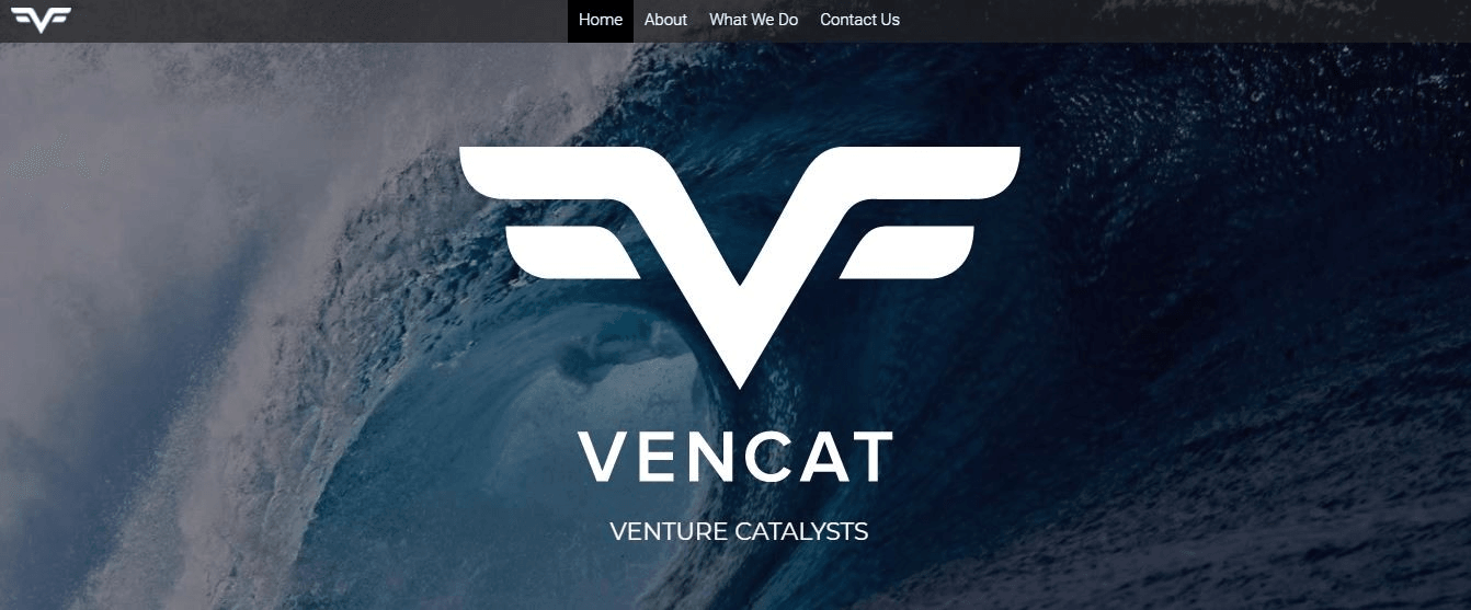 風險投資 風險投資